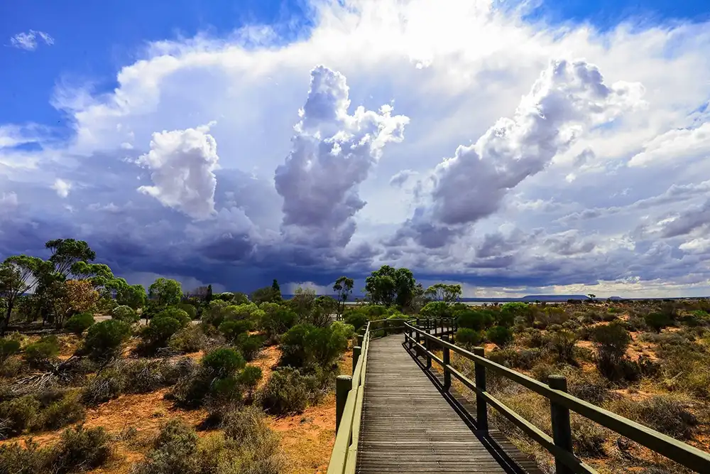 Exploring the Australian Arid Lands Botanic Garden: A Local's Guide