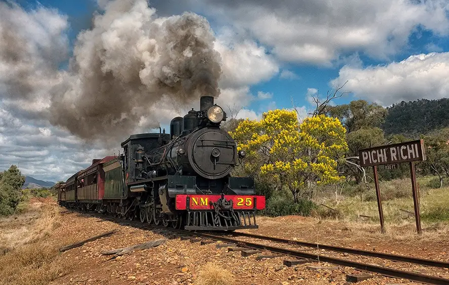 All Aboard! A Local's Guide to the Iconic Pichi Richi Railway